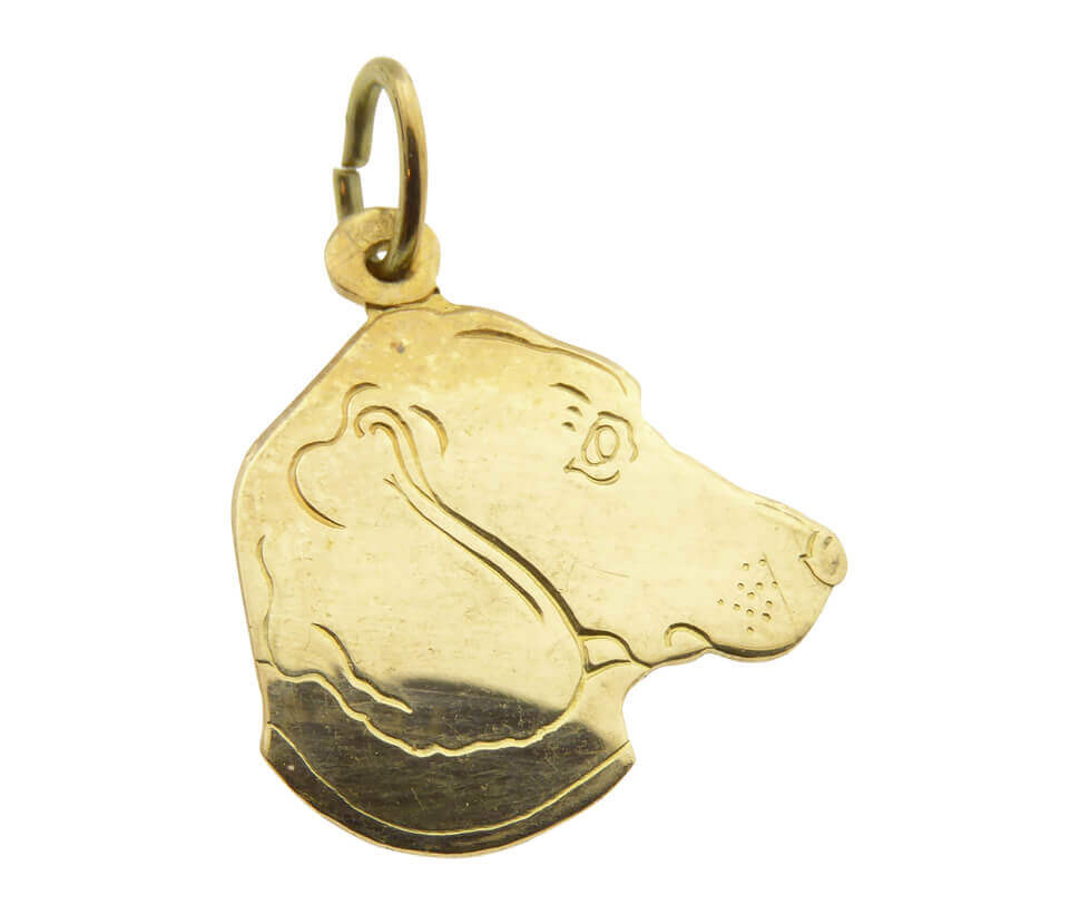 Afbeelding van Christian Gouden hond hoofd hanger