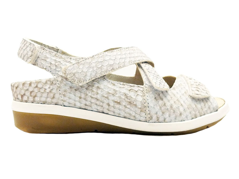 Franciscan Ceramics intelligence overview