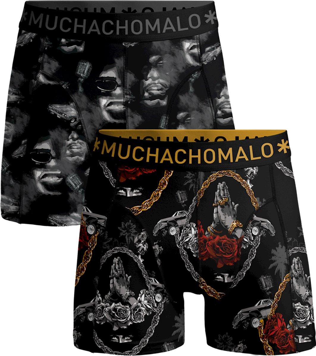 Muchachomalo Boxer Gangster