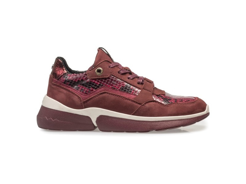 Floris van Bommel 85291