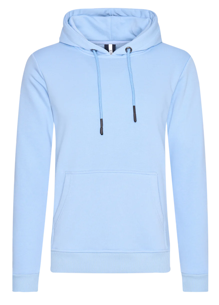 Hønk Licht hoodie
