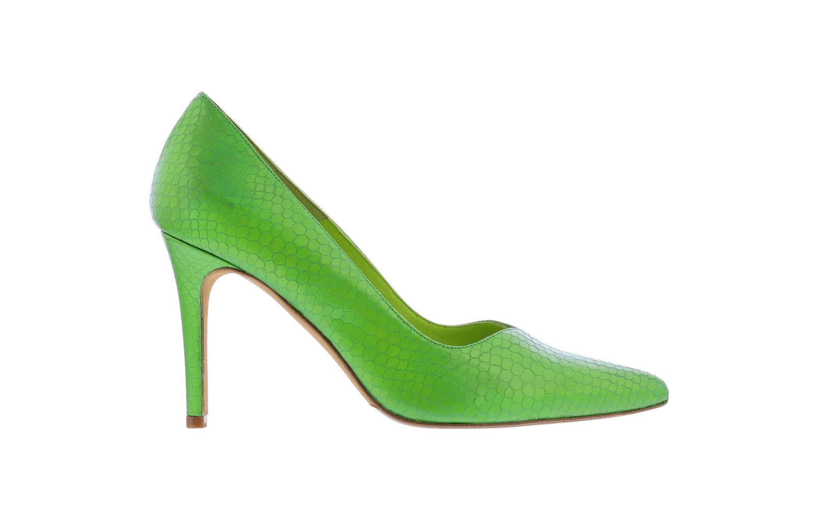 Toral Dames monaco