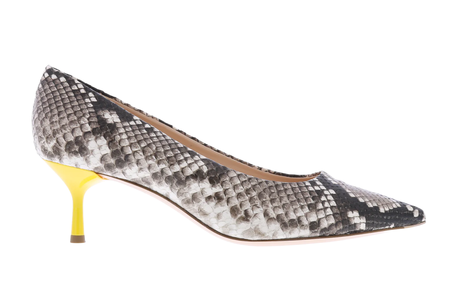 Afbeelding van Attilio Giusti Leombruni Dames python bicolor