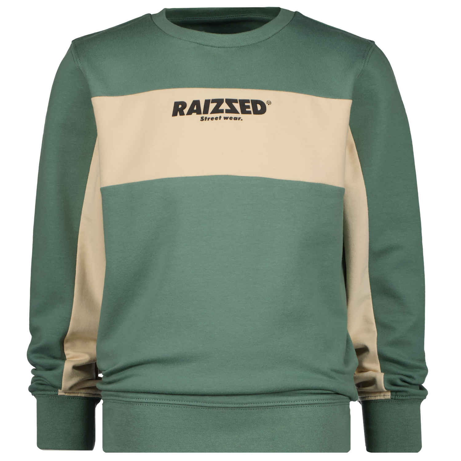 Afbeelding van Raizzed Jongens sweater northwood russian