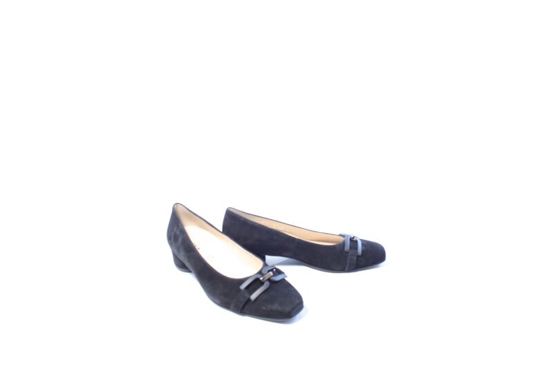 Hassia Roma 302632 pumps