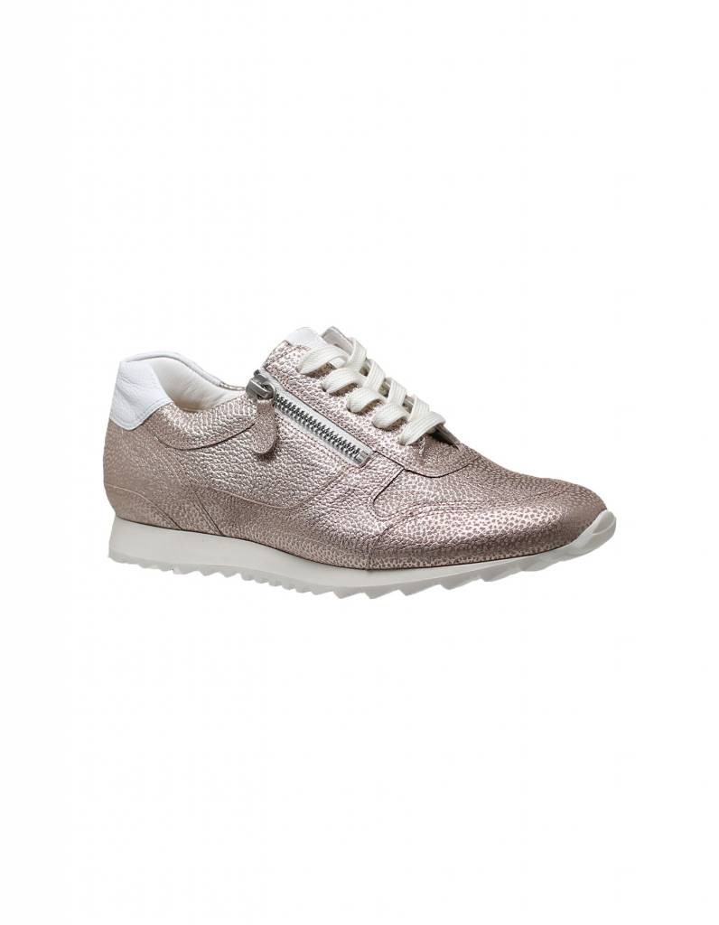 Dames Sneakers/Veterschoen Hassia BARCELONA 301911.3000. Direct leverbaar  uit de webshop van Reese Schoenmode.