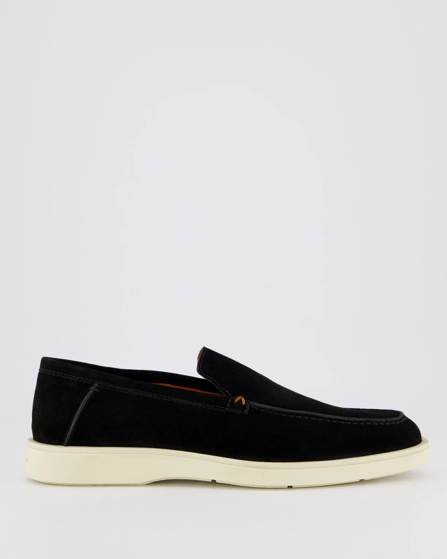 Santoni Heren botanist