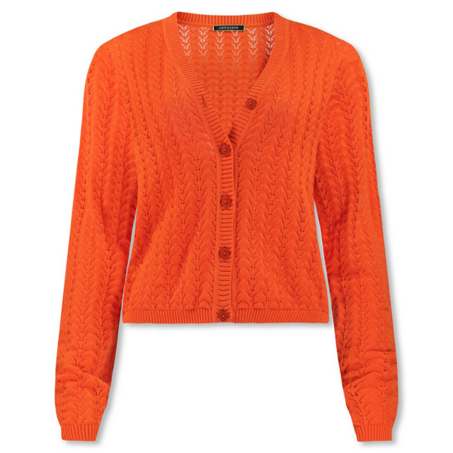 Afbeelding van Lizzy & Coco Lizzy & coco vest elise-mandarine