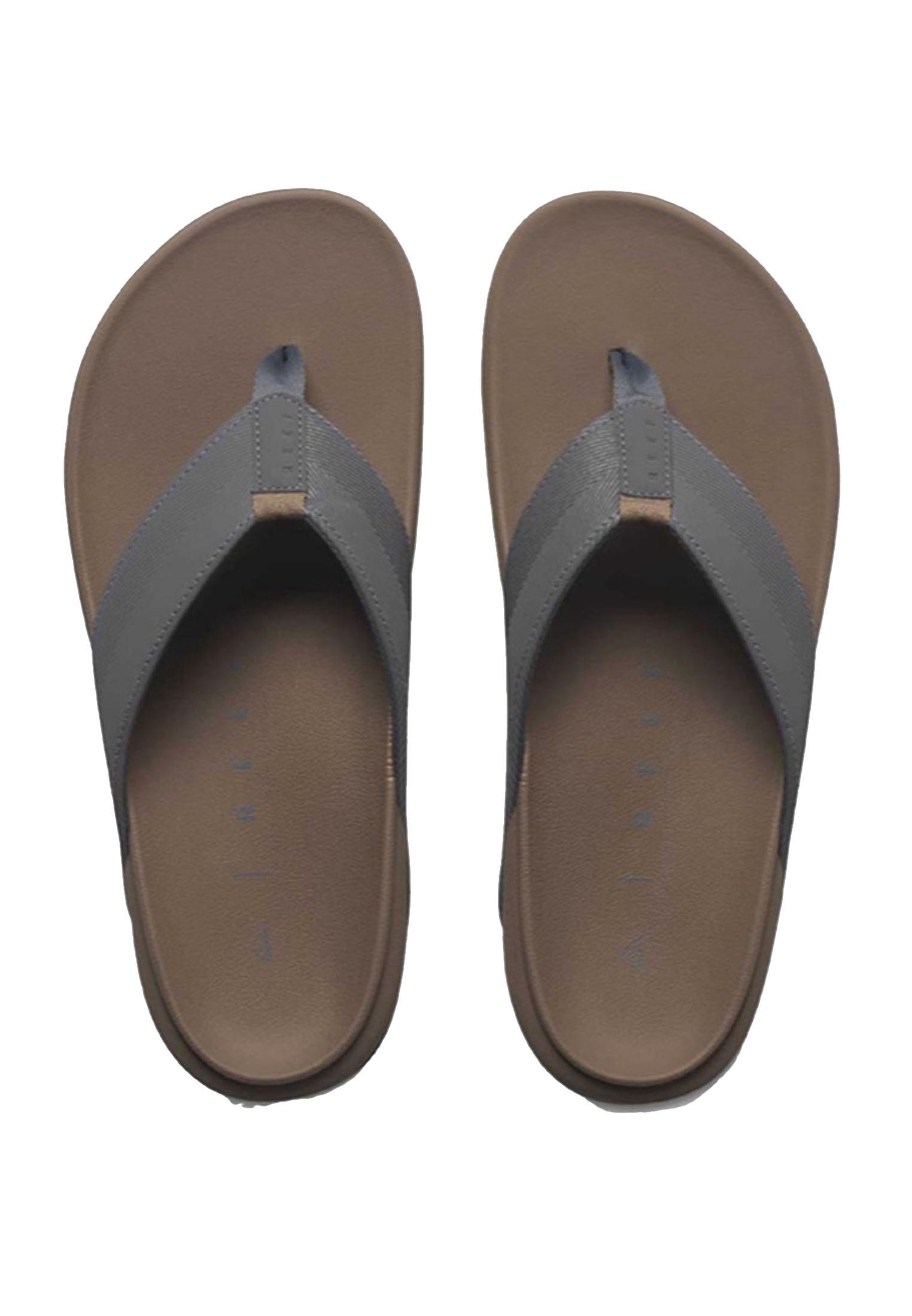Reef Slippers the raglan cj4020 / bruin