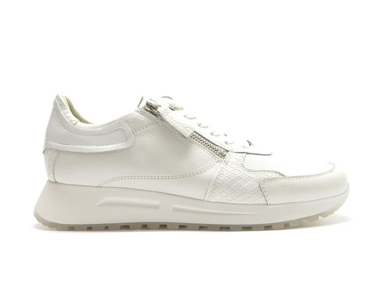 DL Sport 6202