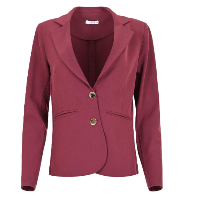 Afbeelding van Zizo Ziza blazer maudie-plum