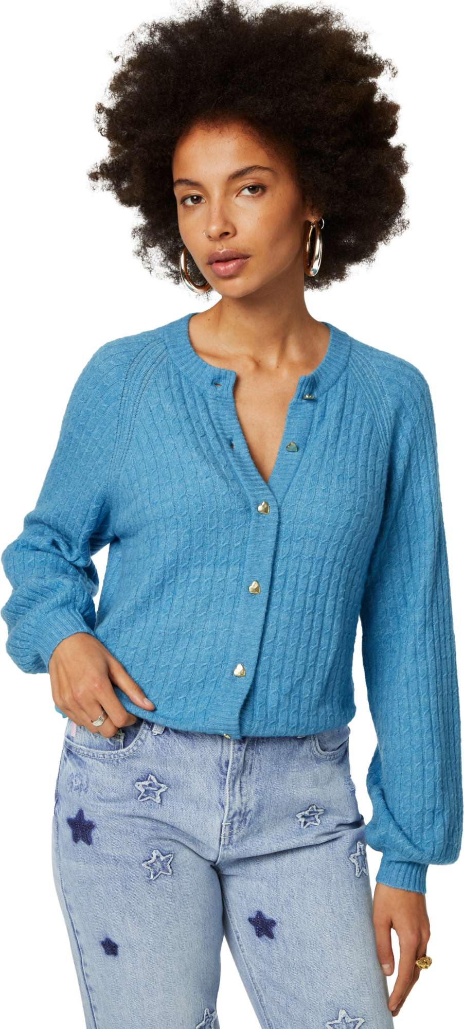 Afbeelding van Fabienne Chapot Charlotta cardigan