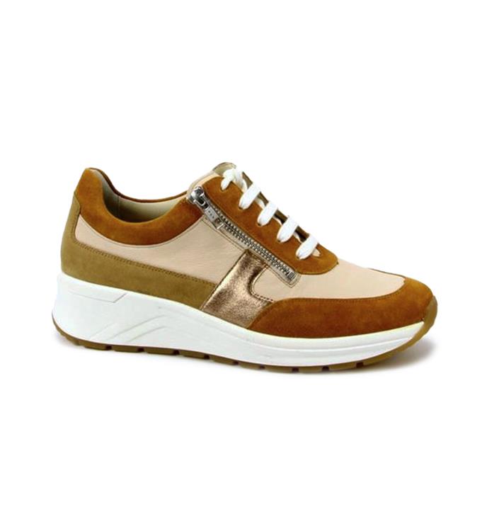 Solidus 46022