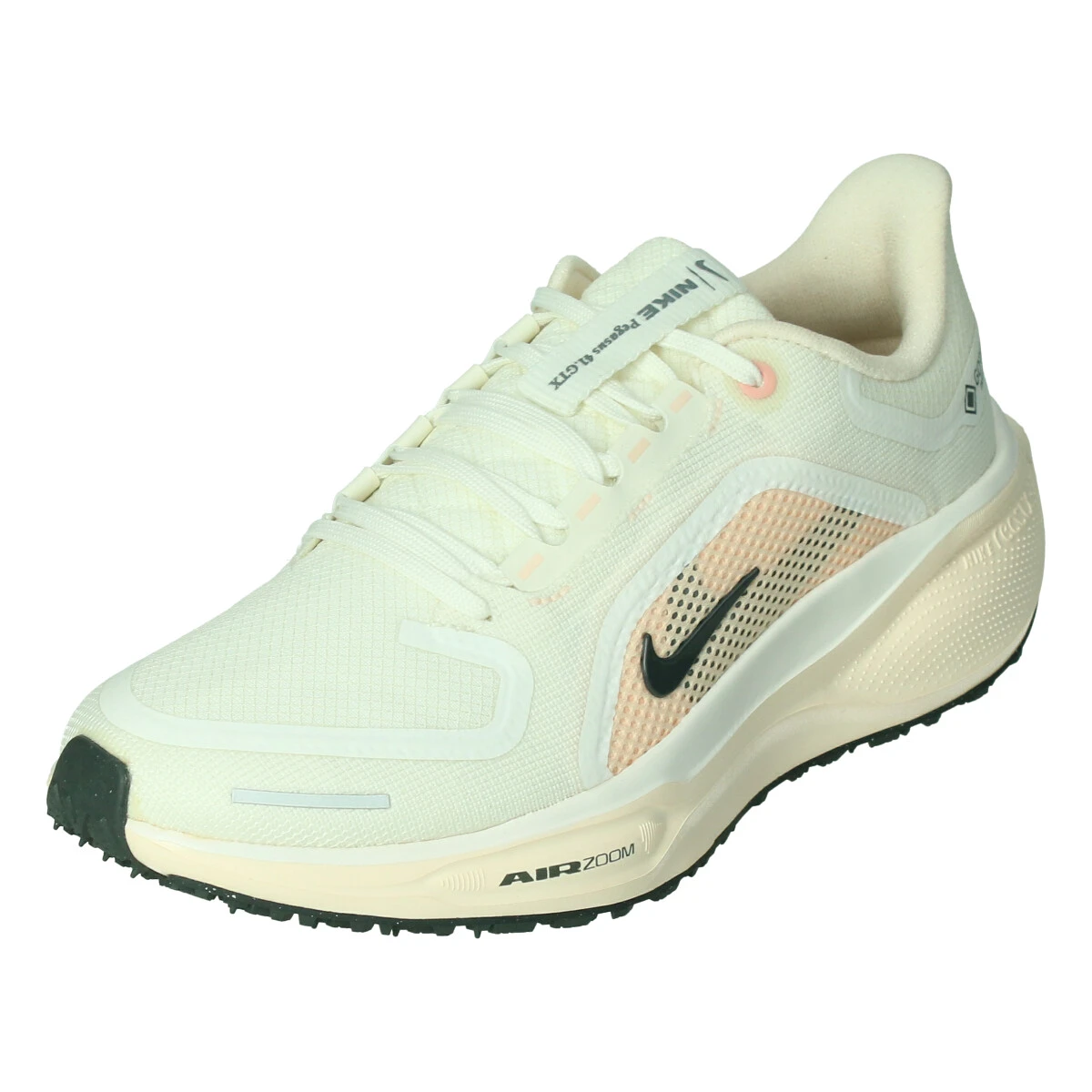 Nike Pegasus 41 goretex