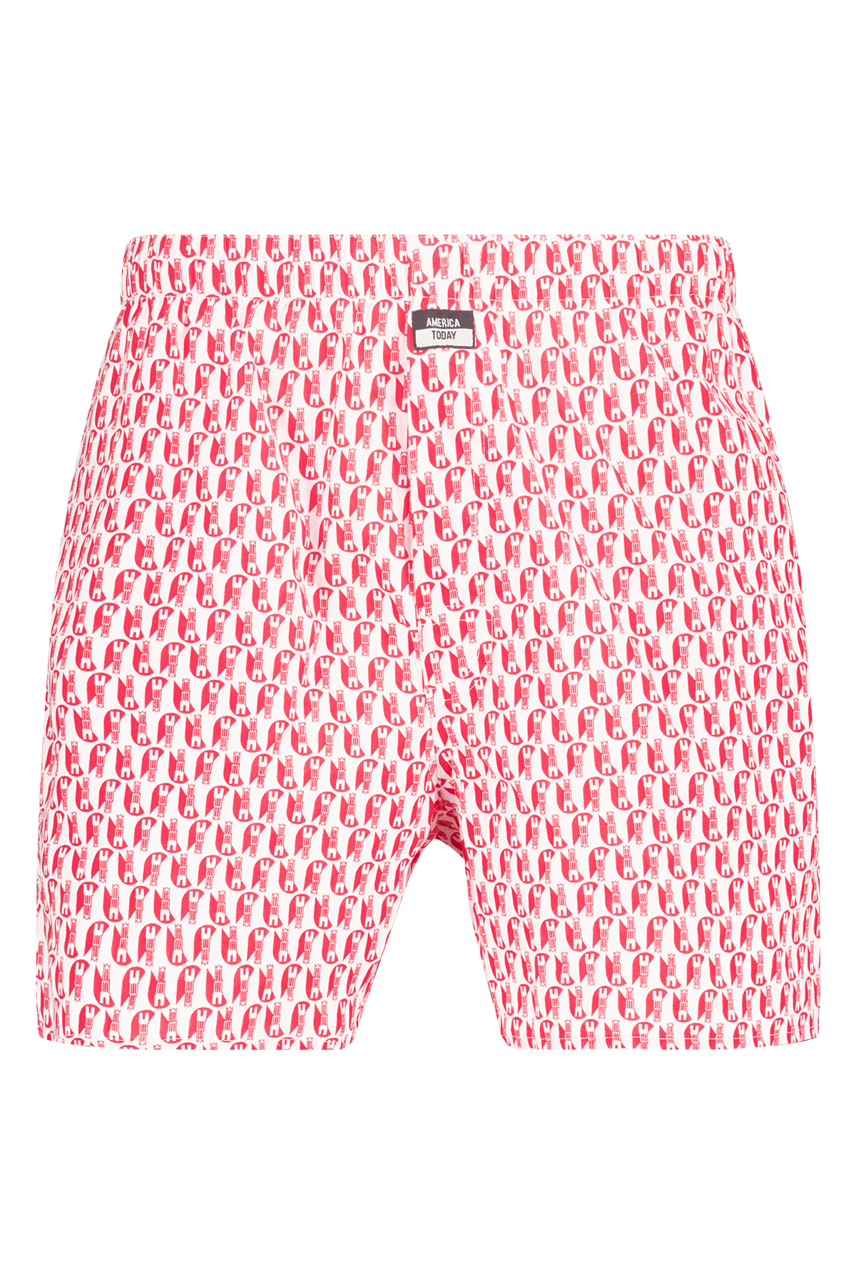 America Today Boxershort thomas p