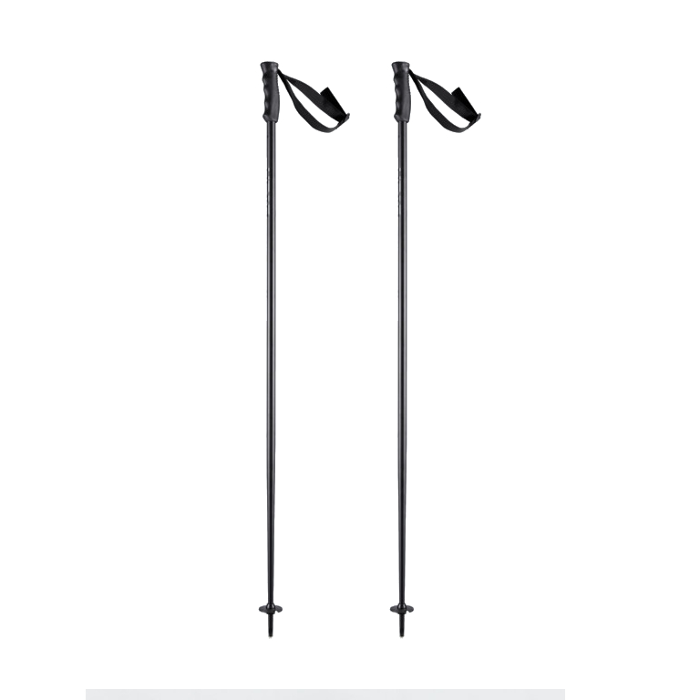Head Ski stokken