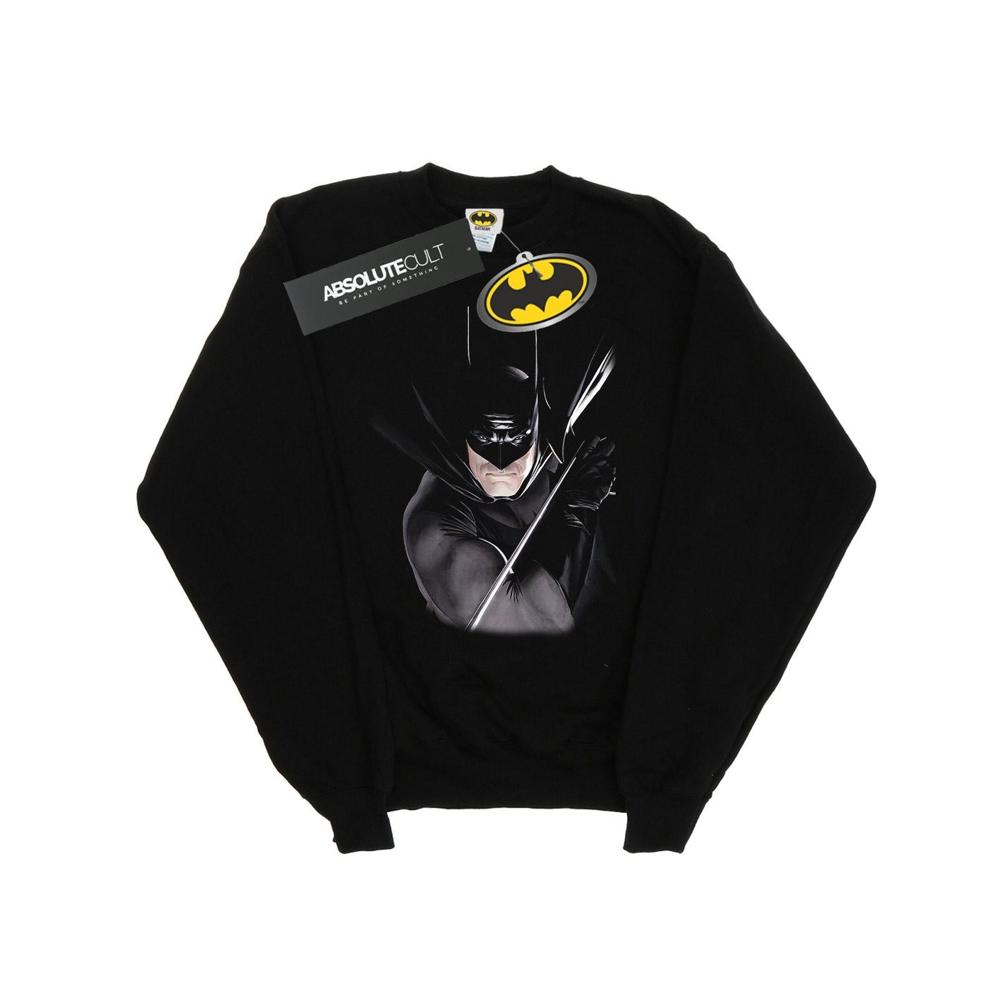 DC Comics Dames batman by alex ross sweatshirt