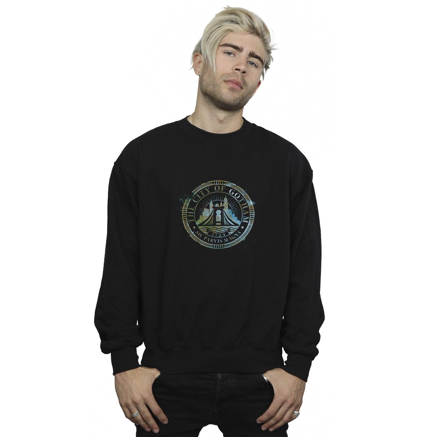 DC Comics Heren the batman city of gotham magna crest sweatshirt