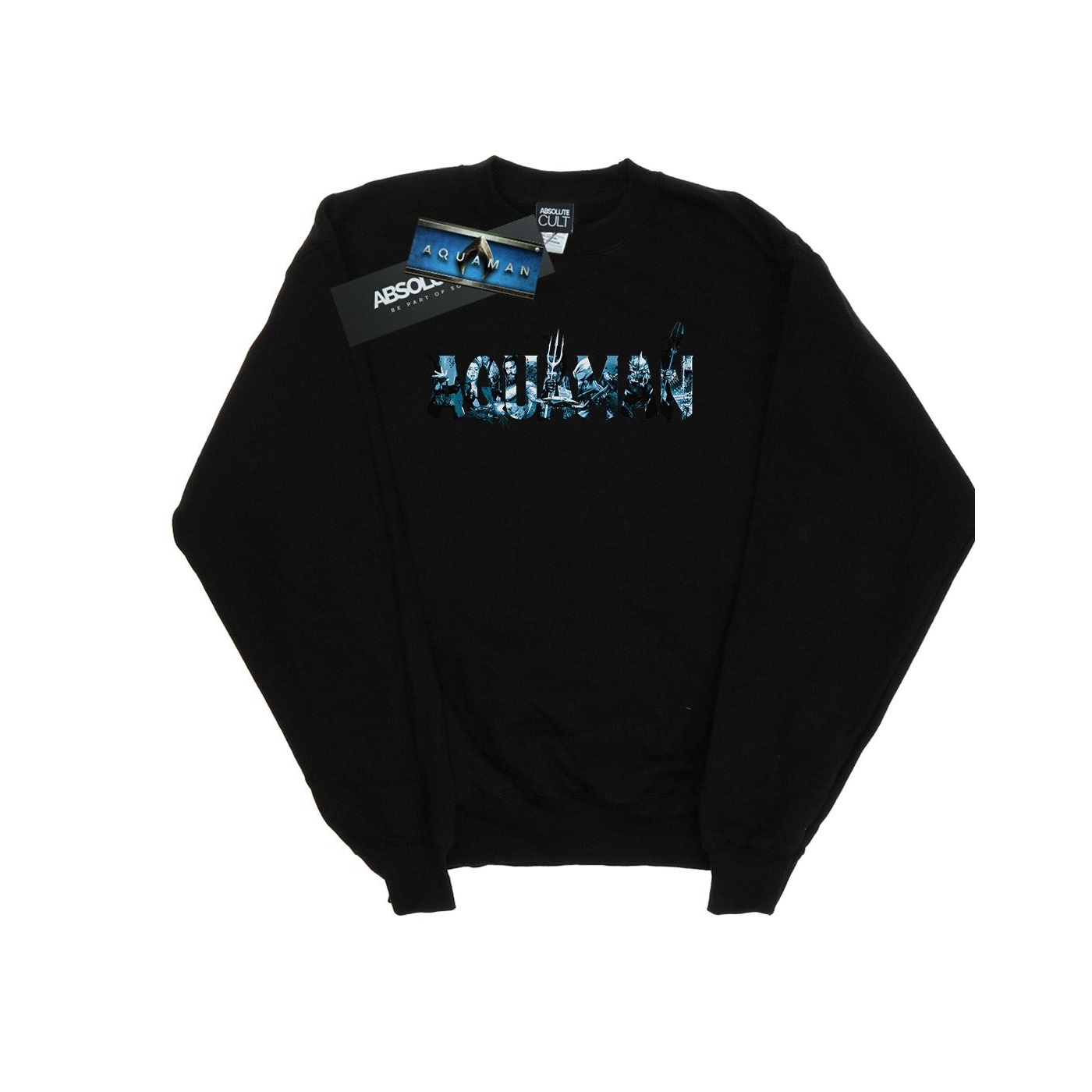 DC Comics Dames aquaman tekst logo sweatshirt