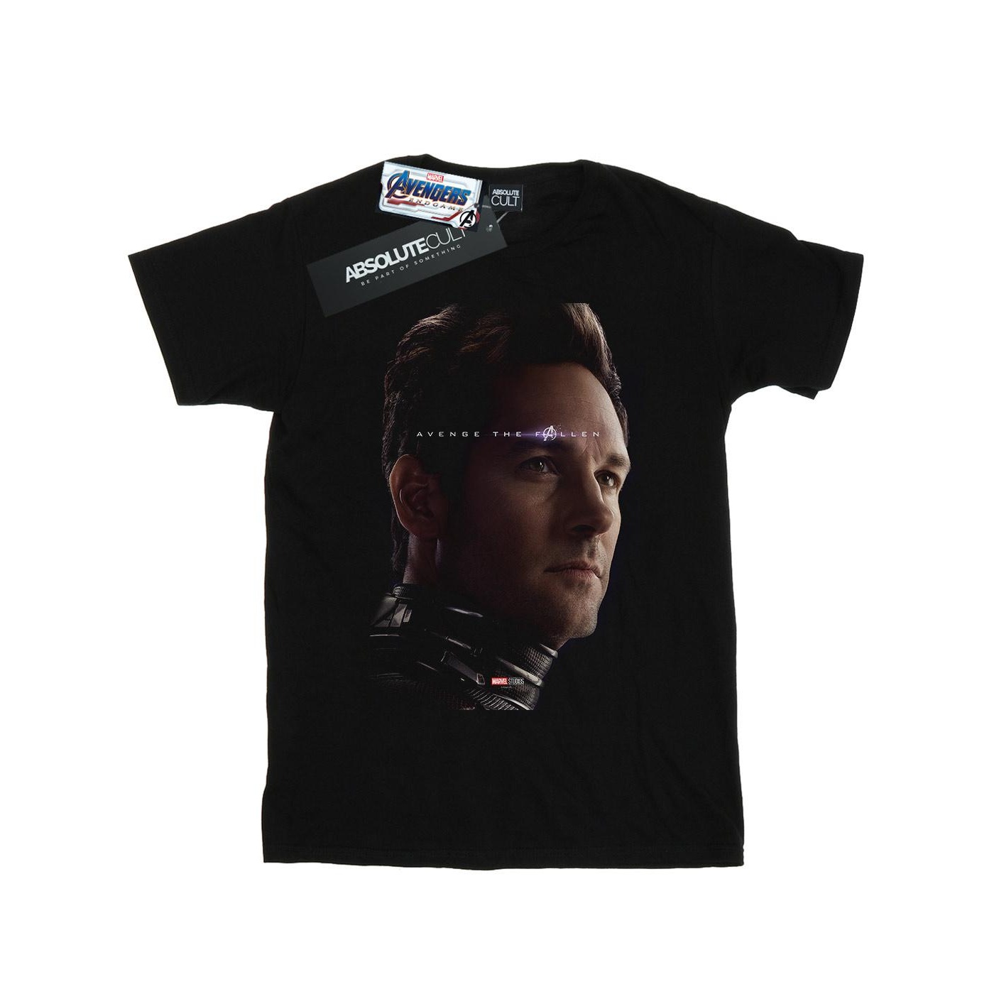 Li-cense Marvel heren avengers endgame avenge the fallen ant-man t-shirt