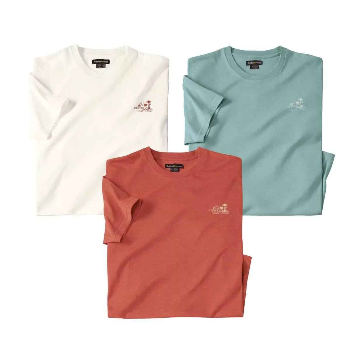 Atlas For Men Heren jersey t-shirt (set van 3)