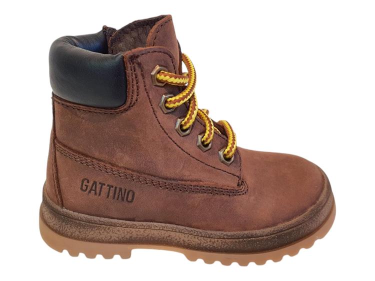 Gattino G1706