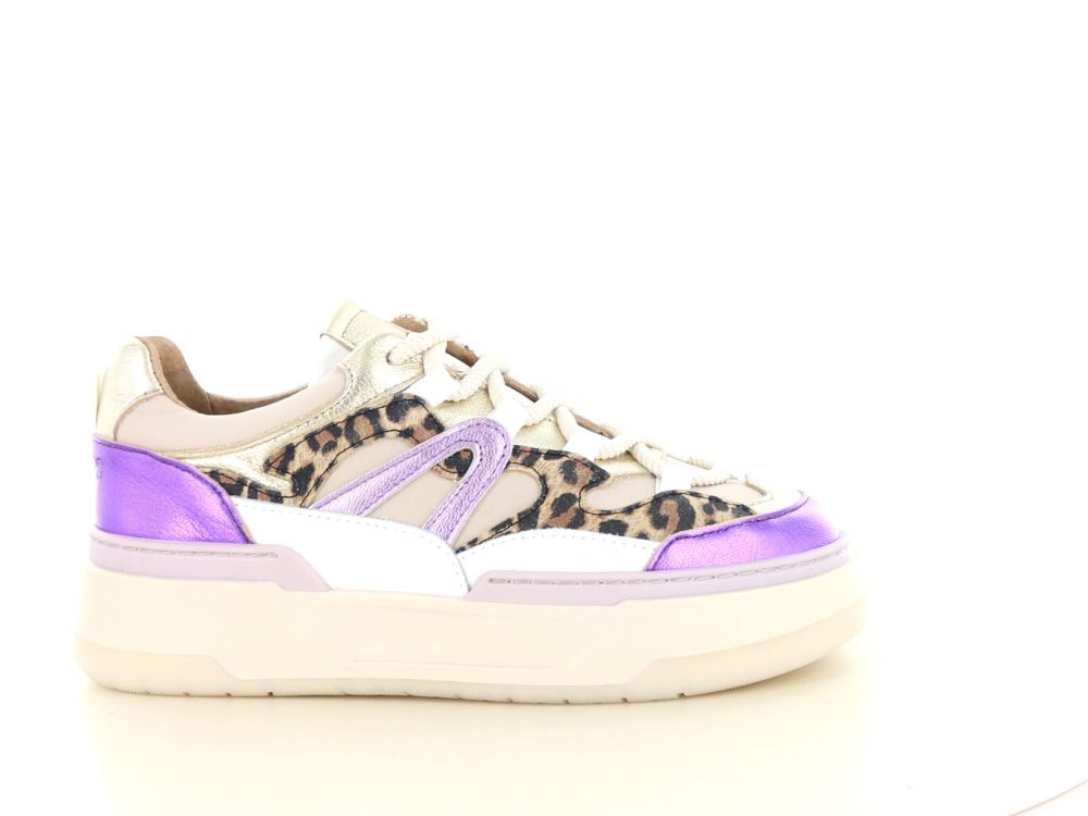 DWRS Label Walton leopard