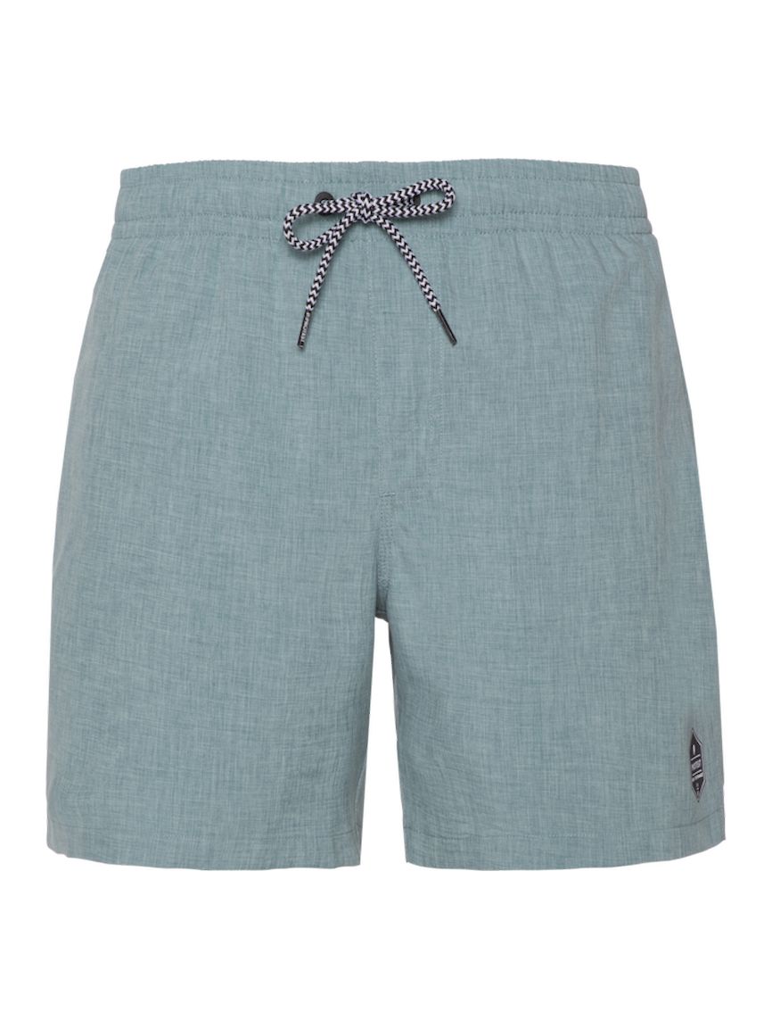 Protest davey beachshort zwemshort heren –