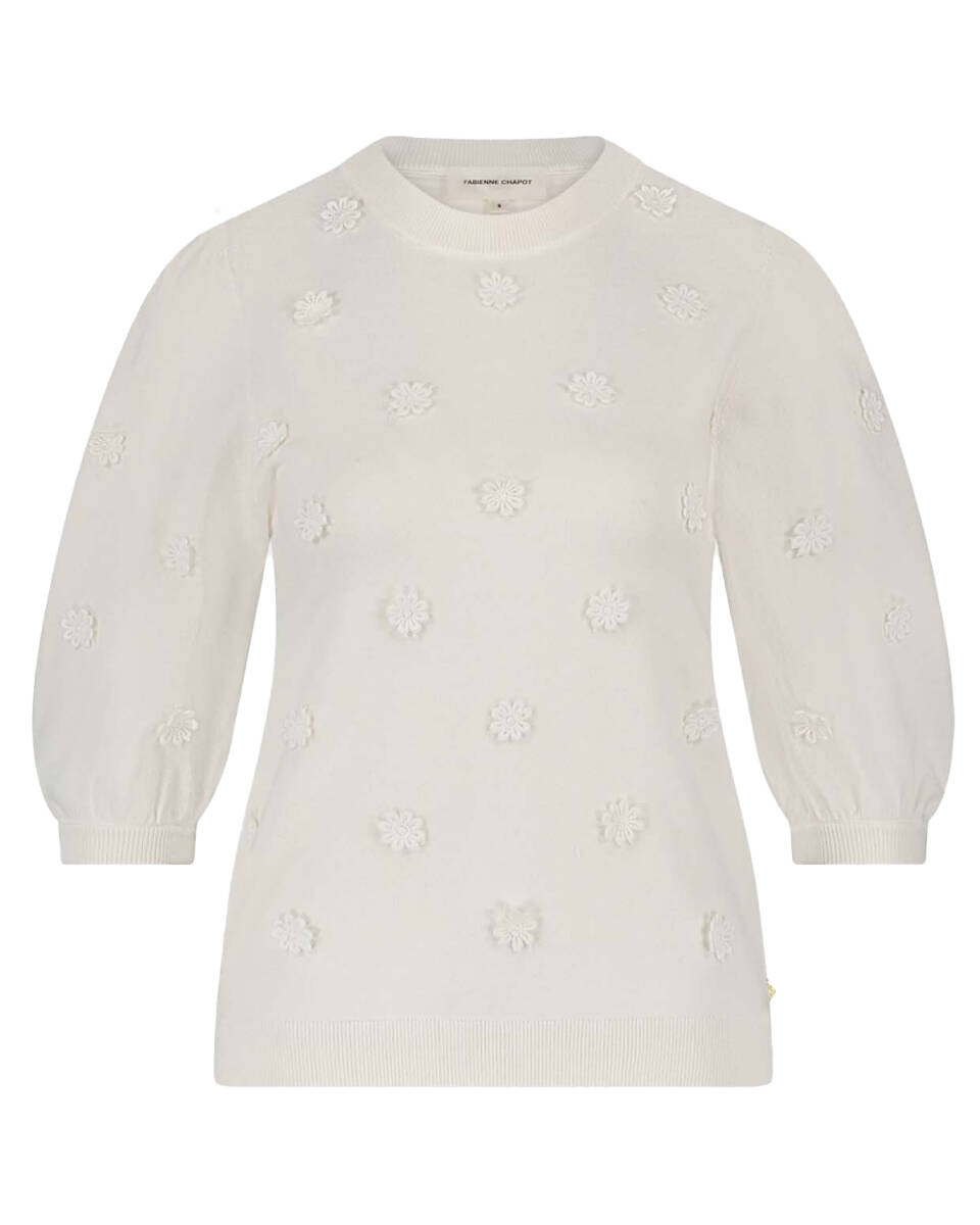 Fabienne Chapot Pullover korte mouw cltpul76 hilly