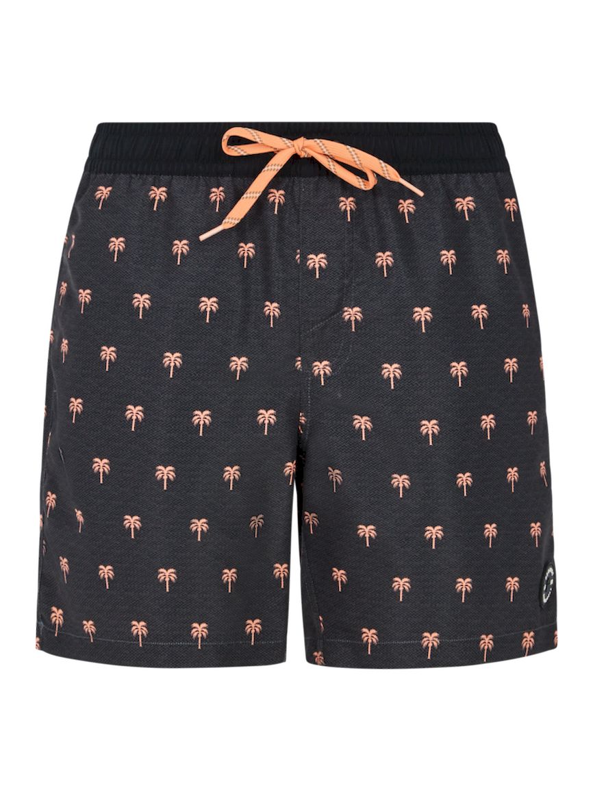 Protest parco beachshort zwemshort heren -multicolour