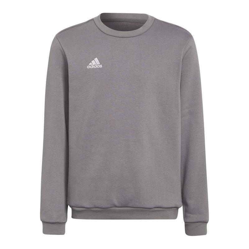 Adidas Kinderen/kinderen entrada 22 sweatshirt
