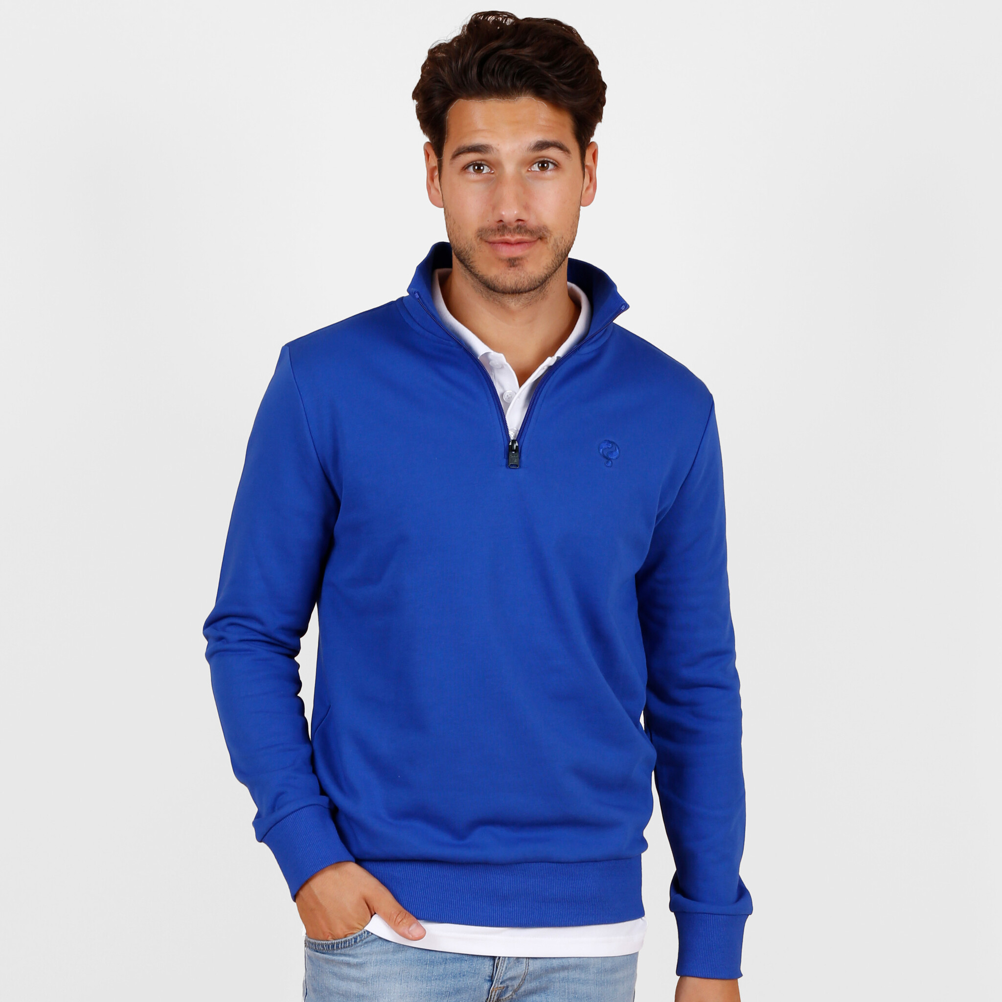 Q1905 Trui gouda konings