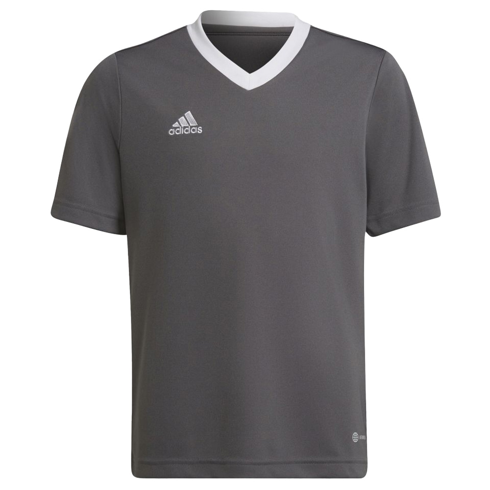 Adidas Kinderen/kinderen entrada 22 t-shirt