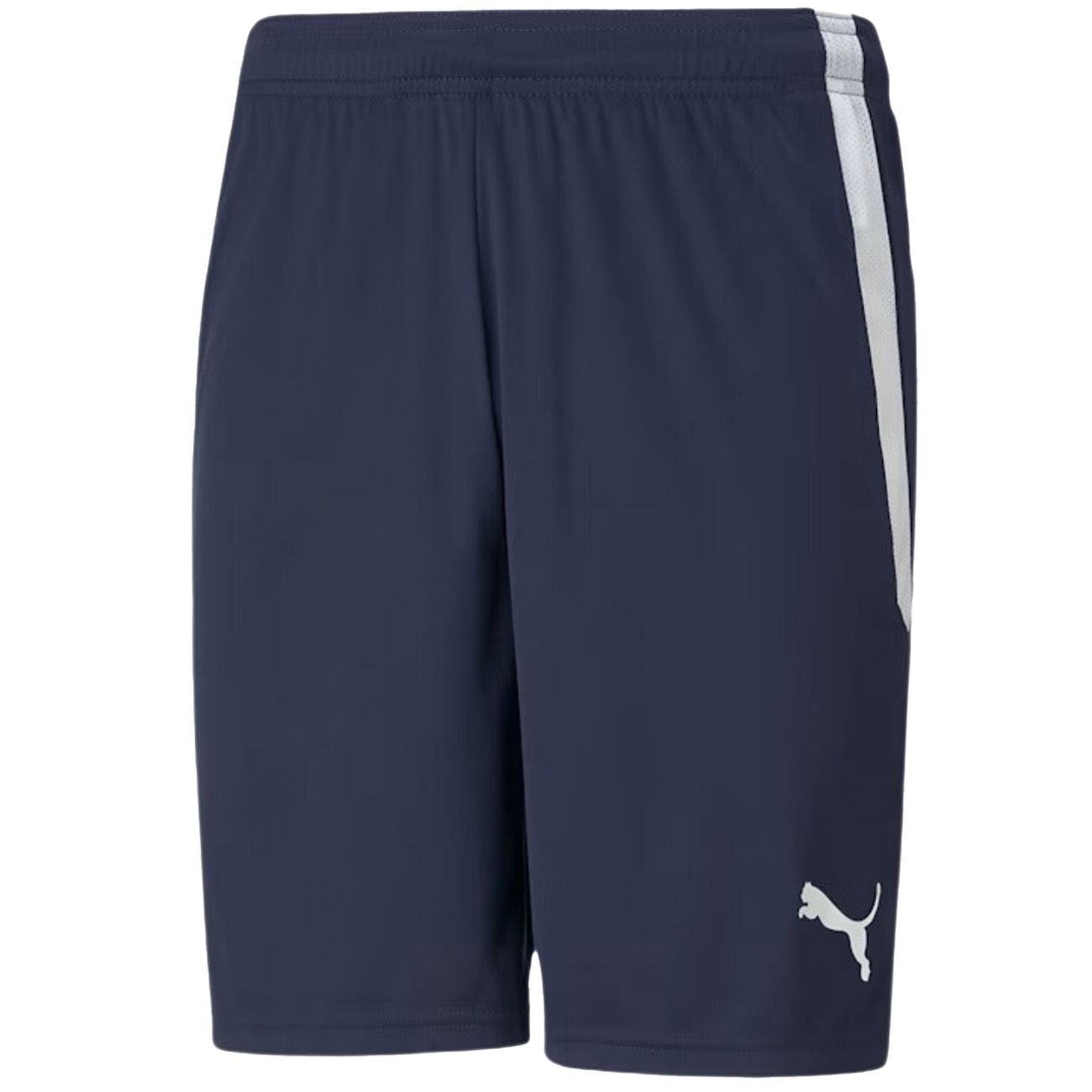 Puma Heren team liga korte broek