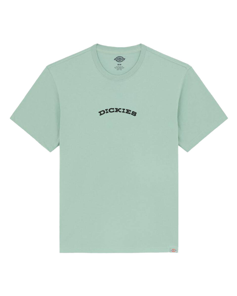 Dickies T-shirt korte mouw dk0a4z8pk361