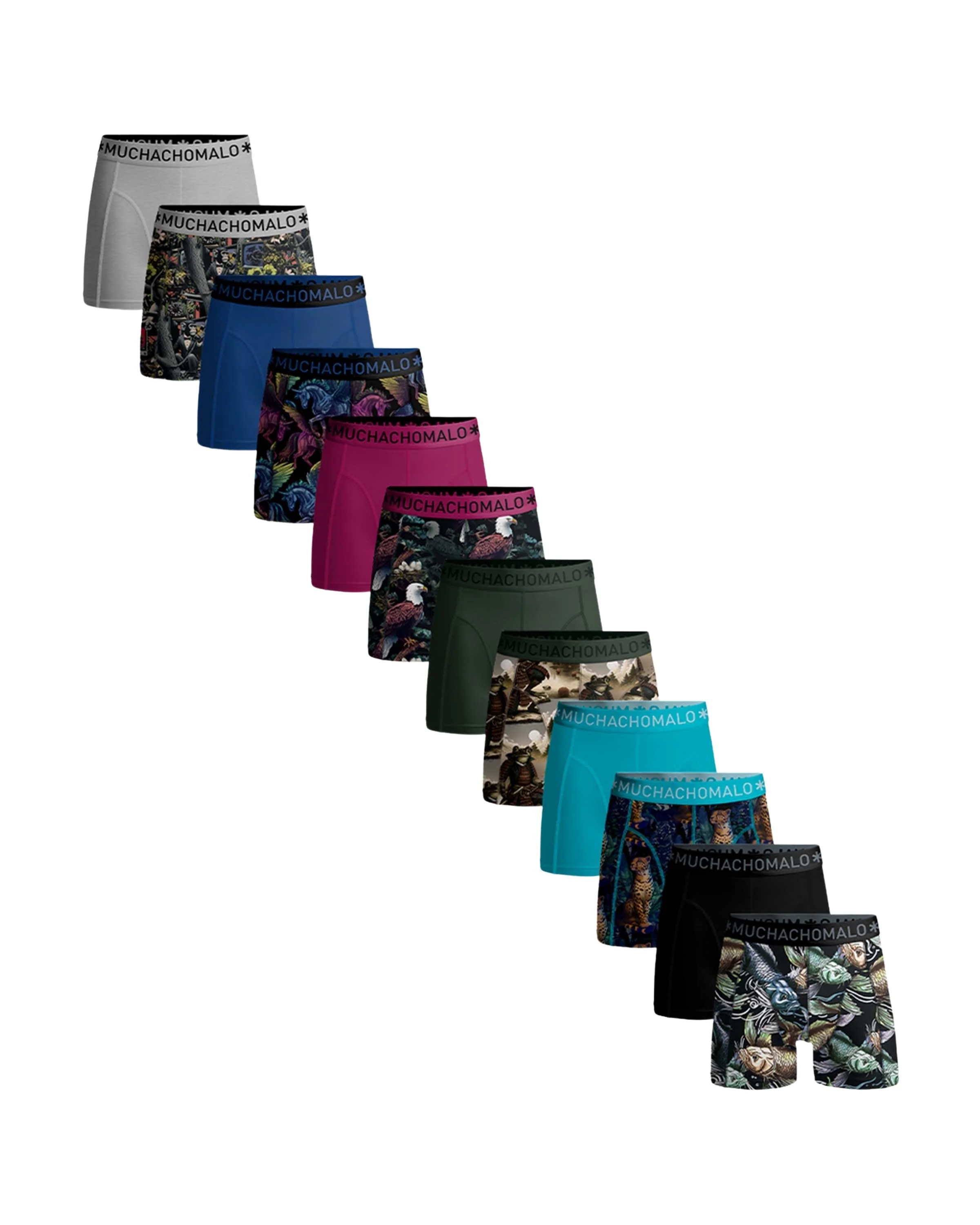 Muchachomalo Men 12 pack boxer hort print/olid giftbox