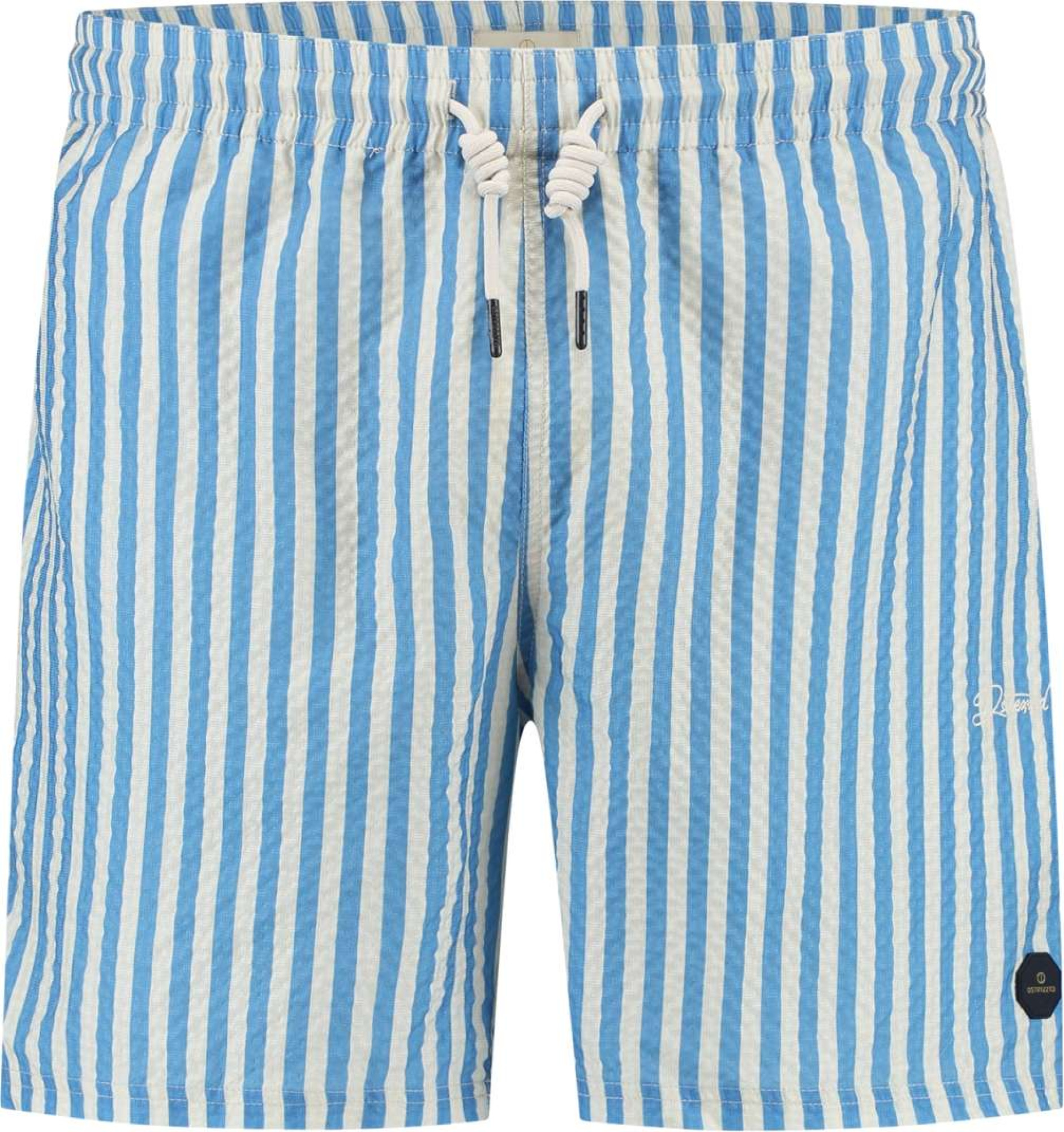 Dstrezzed Ds case stripe swimshorts
