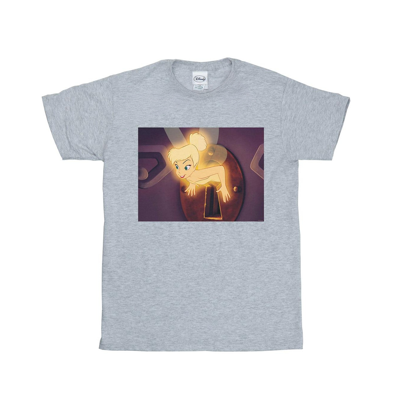 Li-cense Disney jongens tinker bell lock squeeze t-shirt