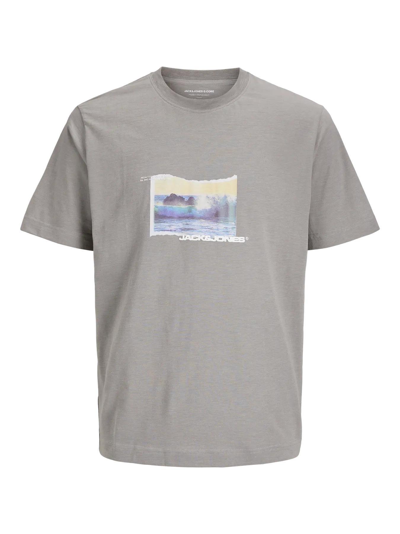 Jack & Jones Jocsagoo photo slub tee