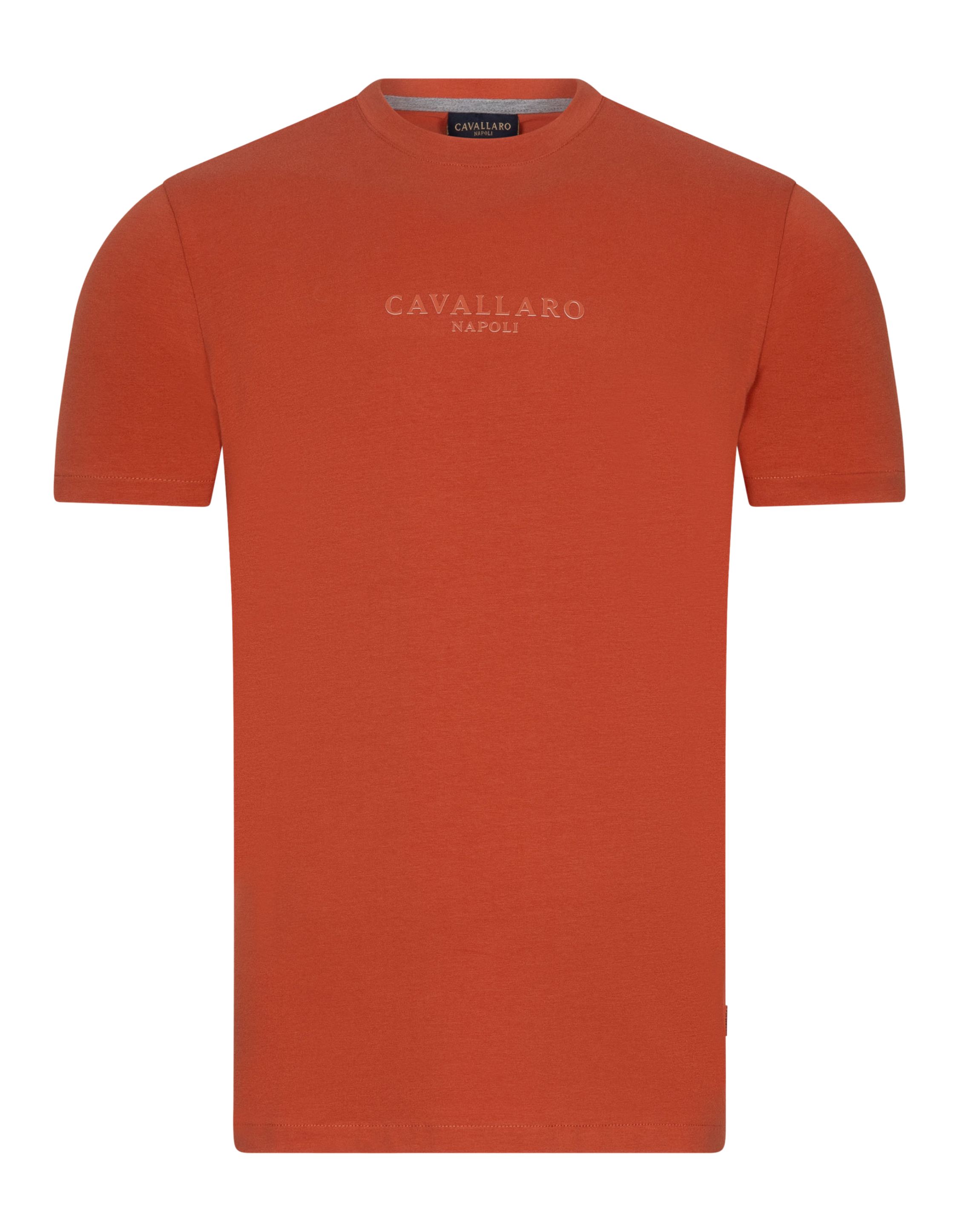 Cavallaro Bari t-shirts 117251000