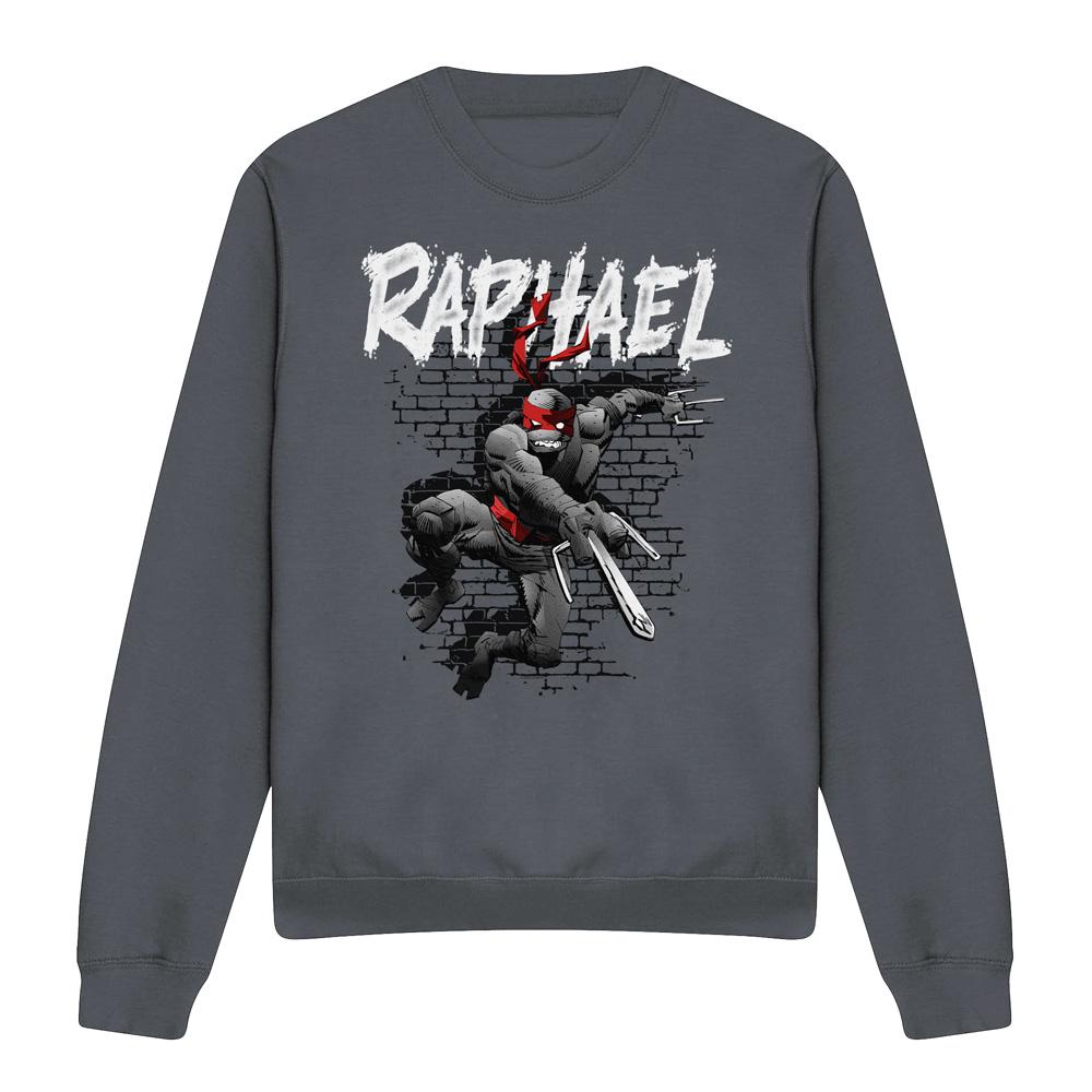 Teenage mutant ninja Turtles Uniseks raphael sweatshirt voor volwassenen