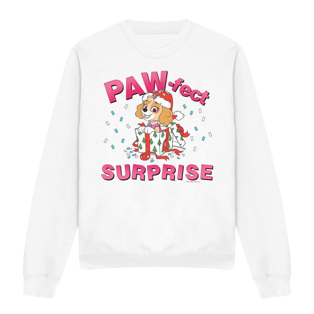 PAW Patrol Volwassen uniseks the paw-fect kerstcadeau skye sweatshirt