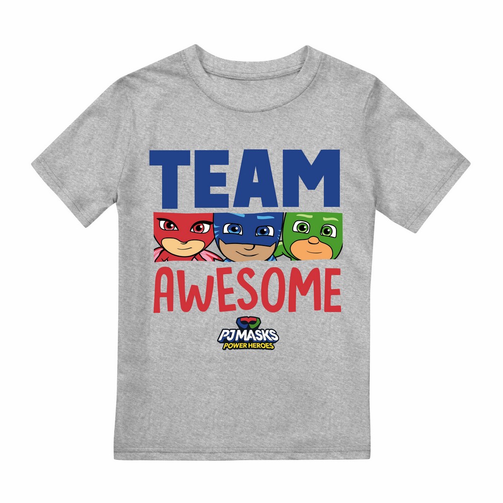 PJ masks Jongens team awesome heather t-shirt