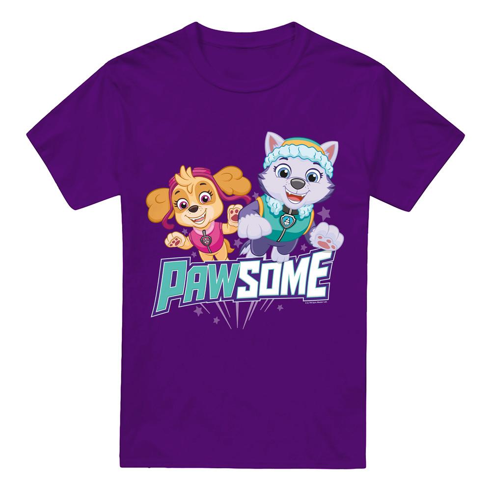 PAW Patrol Heren pawsome skye & everest t-shirt