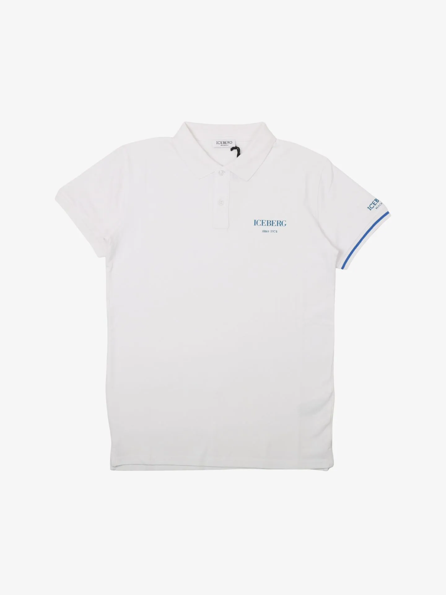 Iceberg Basic