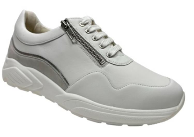 Solidus 66007