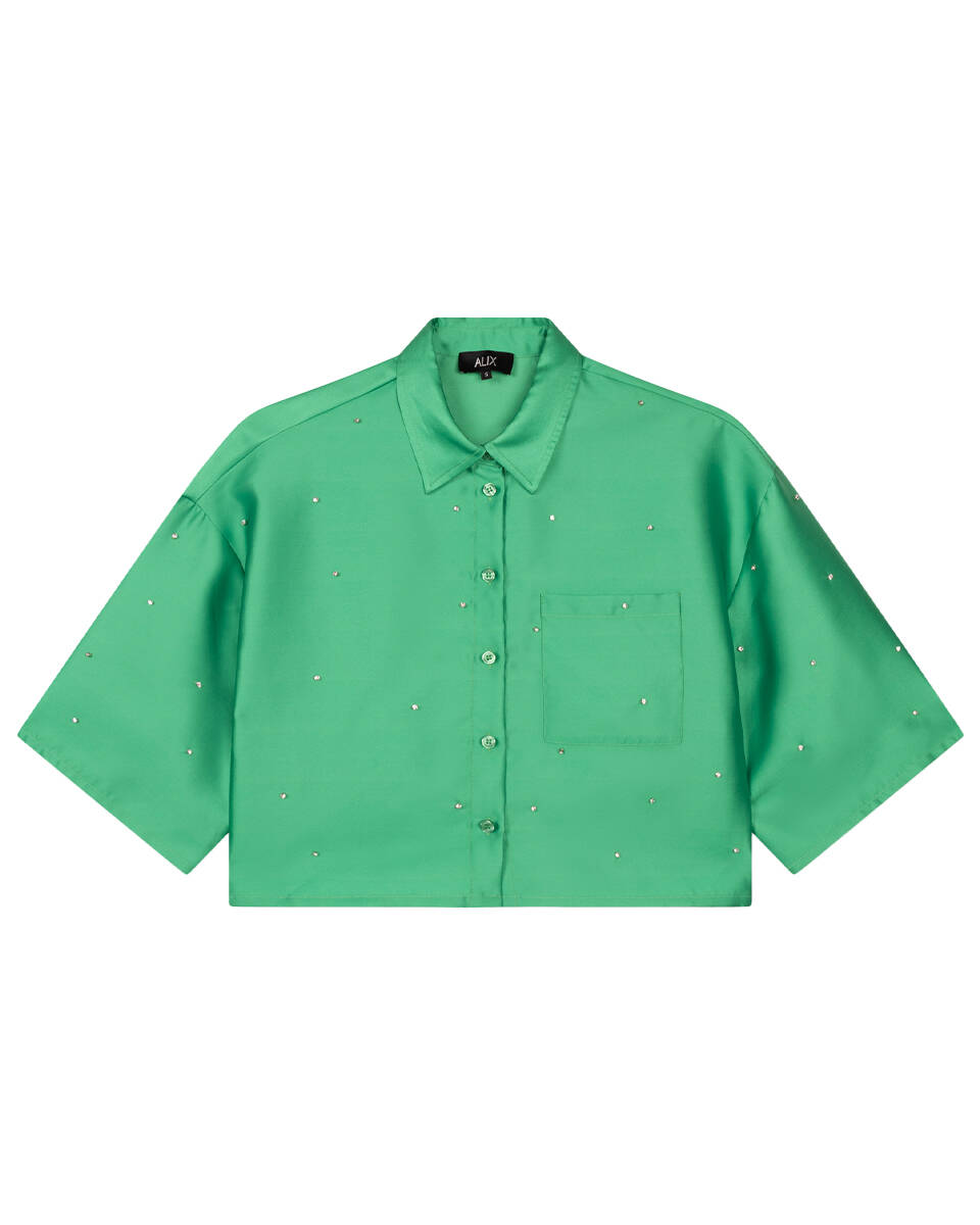 Alix The Label Blouse korte mouw 2506914156