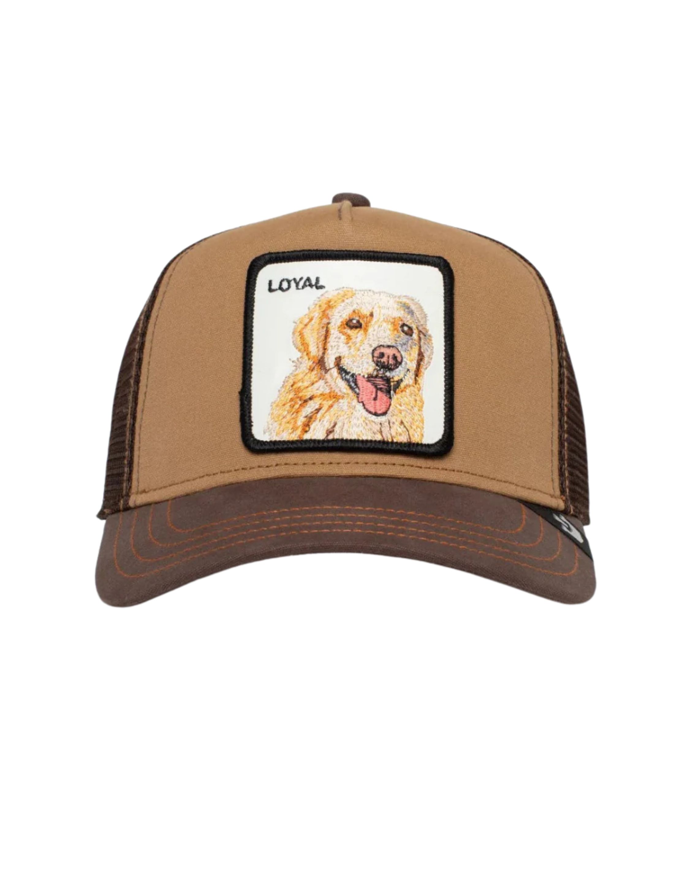 Goorin Bros. The loyal dog petten 101-0505