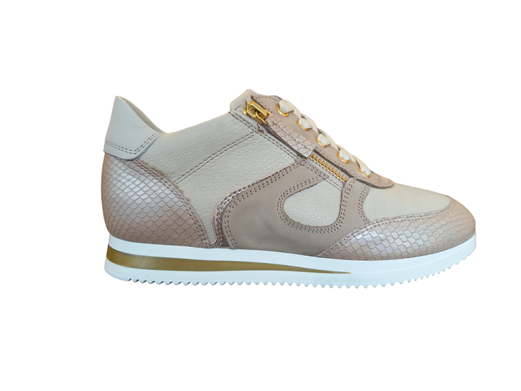 DL Sport 6251