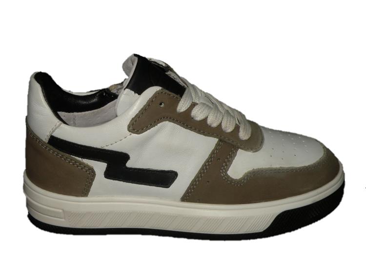 Gattino G1618